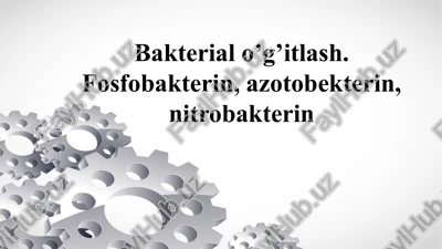 bakterial o’g’itlash.fosfobakterin, azotobekterin, nitrobakterin — PPTX