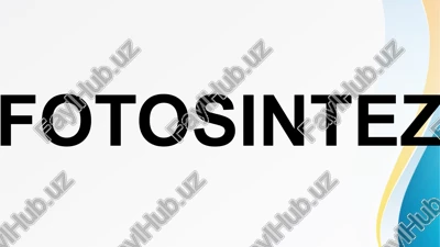 fotosintez — PPTX