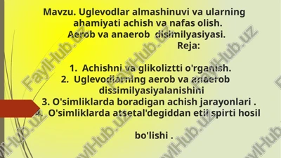 uglevodlar va almashinuvuglevodlar almashinuvi va ularning ahamiyati achish va nafas olish. aerob va anaerob disimilyasiyasi — PPTX