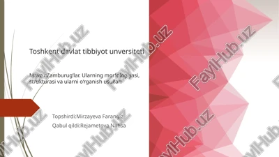 zambrug‘lar morfalogiyasi strukturasi belgilari — PPTX