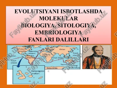 evolutsiyani isbotlashda molekular biologiya, sitologiya, embriologiyafanlari dalillari — PPTX