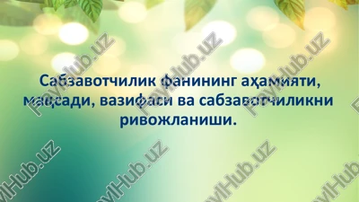 sabzavotchilik — PPTX
