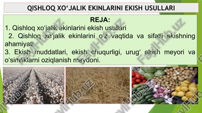 qishloq xo‘jalik ekinlarini ekish usullari — PPTX