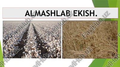 almashlab ekish — PPTX