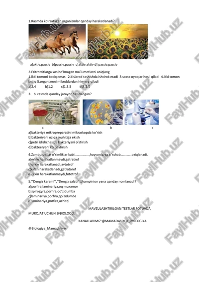 mavzulashtirilgan testlar sotuvda — PDF