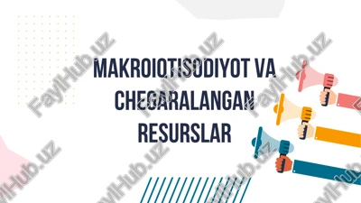 makroiqtisodiyot va chegaralangan resurslar — PDF