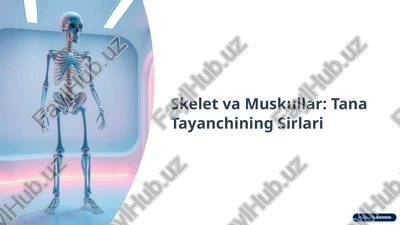 skelet va muskullar — PPTX