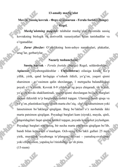 sassiq kovrak - ferula vonyuchaya - ferula foetida (bunge) regel — DOCX