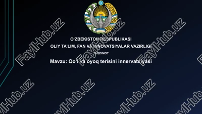 qo‘l va oyoq terisini innervatsiyasi — PPTX