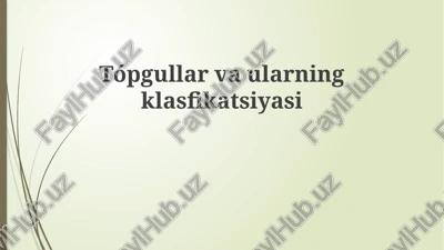 loy tuproqlar — PPTX