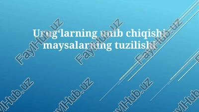 urug‘larning unib chiqishi maysalarning tuzilishi — PPTX