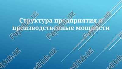 organizatsionnaya struktura predpriyatiya — PPTX