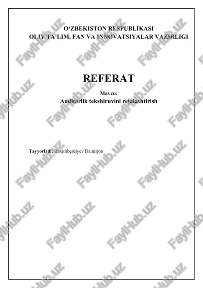 auditorlik tekshiruvini rejalashtirish — DOCX