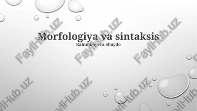 morfologiya va sintaksis — PPTX
