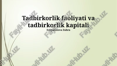 tadbirkorlik faoliyati va tadbirkorlik kapitali — PPTX