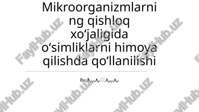 mikroorganizmlarning qishloq xoʻjaligida oʻsimliklarni himoya qilishda qoʻllanilishi — PPTX