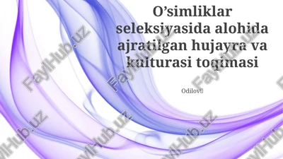 o'simliklar seleksiyasida alohida ajratilgan hujayra va kulturasi toqimasi — PPTX