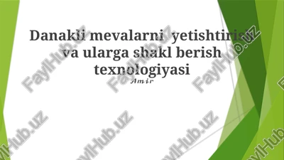 danakli mevalarni yetishtirish va ularga shakl berish texnologiyasi — PPTX