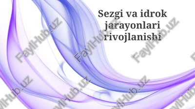 sezgi va idrok jarayonlari rivojlanishi — PPTX