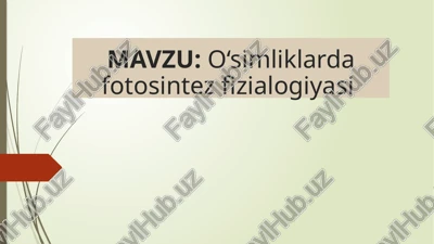 o‘simliklarda fotosintez fizilogiyasi — PPTX