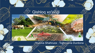 qishloqxo'jaligi — PPTX