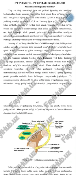o’t pufagi va o’t yo’llari kasalliklari — PDF
