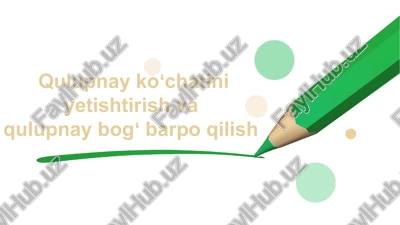 qulupnay koʻchatini yetishtirish va bog' barpo etish — PPTX