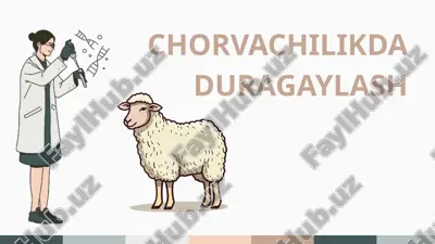 chorvachilikda duragaylash — PPTX