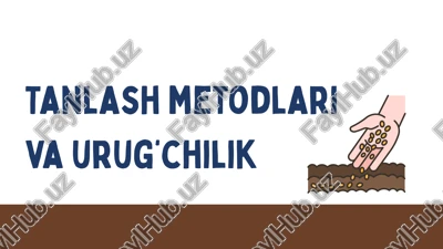 tanlash metodlari va urug‘chilik — PPTX