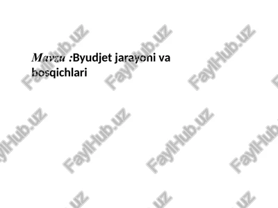 byudjetni ijro etish va uning nazorat qilish — PPTX