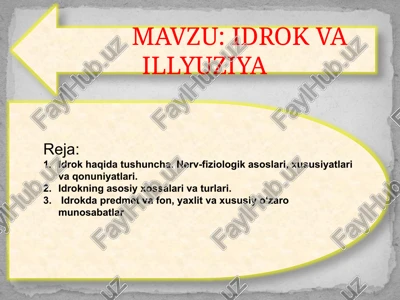 idrokva illyuziya — PPTX