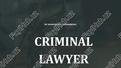 criminal lawyer — PPTX