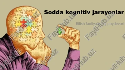soddakognitiv jarayonlar — PPTX