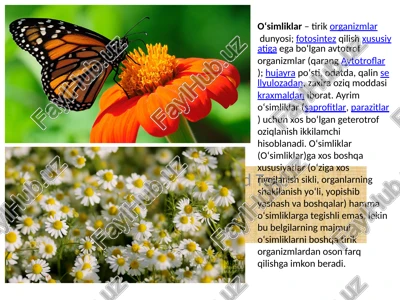 oʻsimliklar–tirikorganizmlardunyosi — PPTX