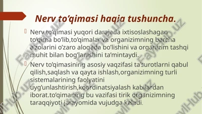 nervto’qimasi — PPTX