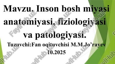 inson boshmiyasi anatomiyasi, fiziologiyasi, patologiyasi — PPTX