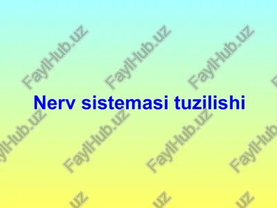 nervsistemasituzilishi — PPTX