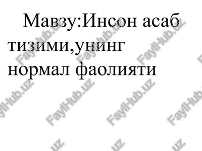 inson asabtizimi, uning normal faoliyati — PPTX