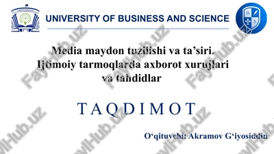 media maydon tuzilishi va ta’siri — PPTX