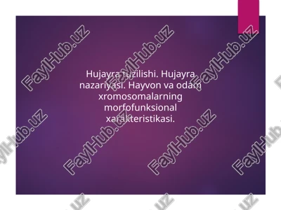 hujayra tuzilishi. hujayra nazariyasi. hayvon va odam xromasomalarining marfofunksional xarakteristi — PPTX