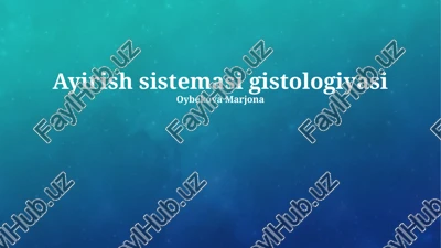 ayirish sistemasi gistologiyasi — PPTX
