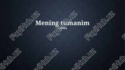 mening tumanim — PPTX