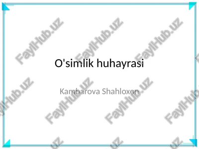 o'simlik huhayrasi — PPTX