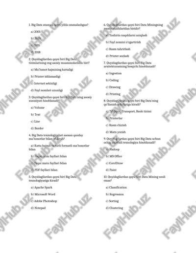 big data haqida test savollari — DOCX