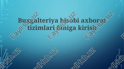 hisob axborot tizimlari — PPTX