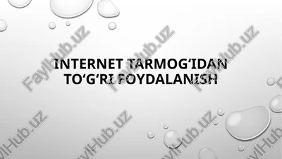 internet tarmog‘idan to‘g‘ri foydalanish slayd — PPTX