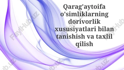 qarag'ay toifao'simliklarning dorivorlik xususiyatlari bilan tanishish va taxlil qilish — PPTX