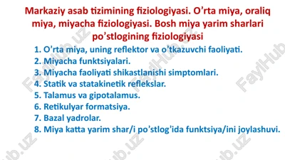 markaziy asab tizimining fiziologiyasi — PPTX