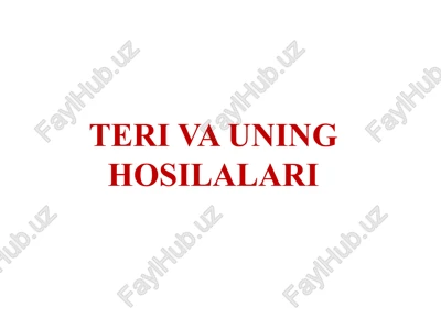 teri va uning hosilalari — PPTX