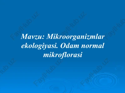 mikroorganizmlar ekologiyasi — PPTX